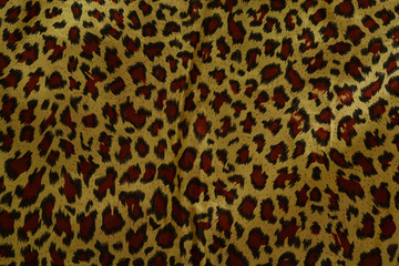Tiger skin  Background Texture.