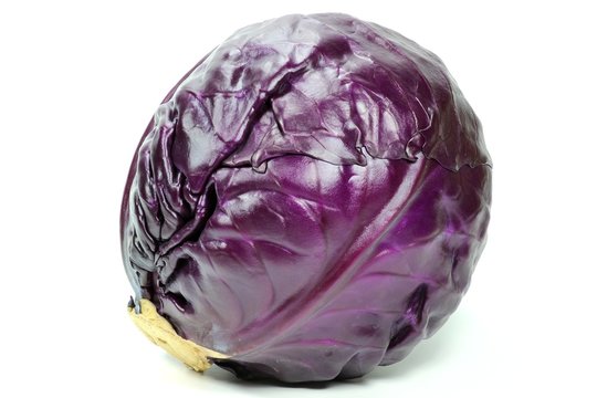 Rotkohl isoliert auf wei&szlig;em Hintergrund
