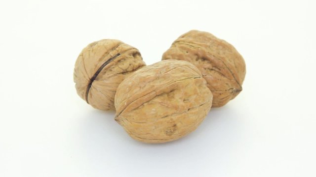 Nuts with white background