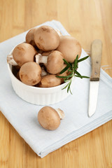 Braune Champignons