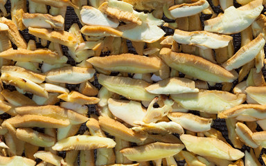 Boletus mushrooms sliced and stacked for drying
