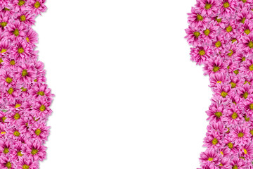 Pink flowers background