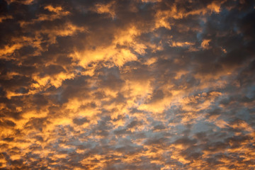 Fototapeta premium Sky and cloud in evening sunset time