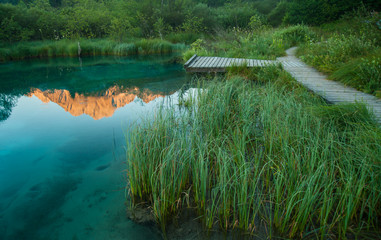 Sava spring, Zelenci, Slovenia
