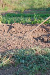 Hoe.