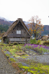 Thatched farm house