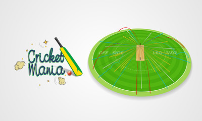 Cricket shot statistic showing by different colors.