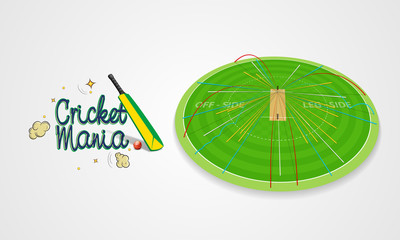 Cricket shot statistic showing by different colors.