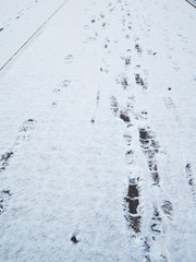 footprints in the snow
