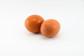 Egg