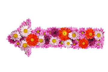 Flowers sign