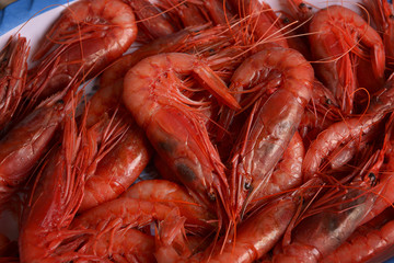 Camarón Shrimp Gambero rosso