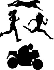 Fototapeta premium Speed silhouette