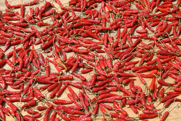 Fototapeta premium The Dried Chilli (chili, Chilli, Food)