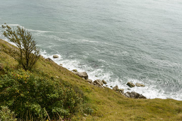 bushes and waves at Portland peninsula, Dorset