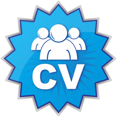  CV ICON