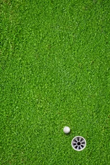 Foto op Plexiglas The ball at the hole on the golf course © IvicaNS
