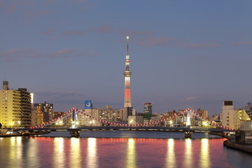 Naklejka na ściany i meble Tokyo city view and Tokyo sky tree with red christmas light up