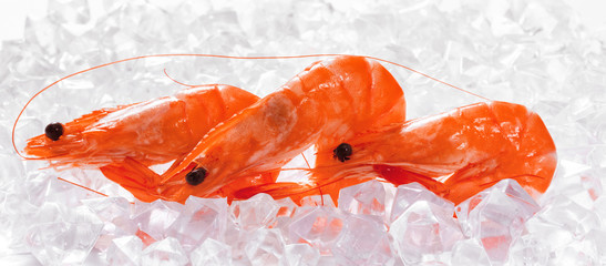 Prawns on Ice