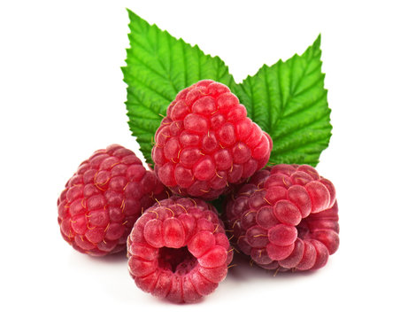ripe raspberries
