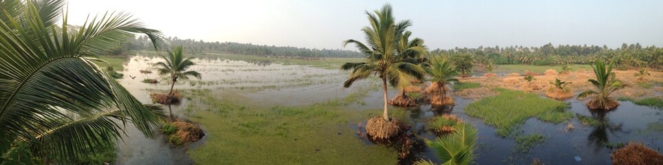 Fototapeta premium Backwaters of Kerala, India