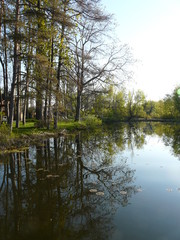 Fototapeta premium Lake in the morning calm, near Stratford, Ontario, Canada