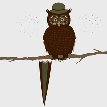 Cute owl with hat on a branch