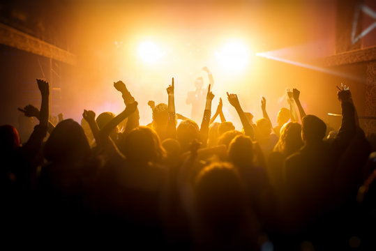 Group Of People Enjoying A Concert