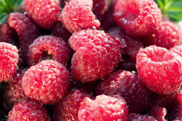 Fullscreen image of raspberries in a heap. Close-up