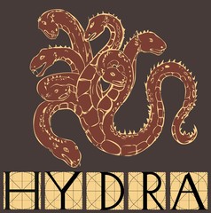 Hydra with title