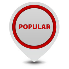 Popular pointer icon on white background