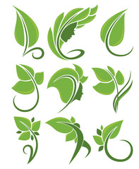 vector collection of green leaves, nature and beauty