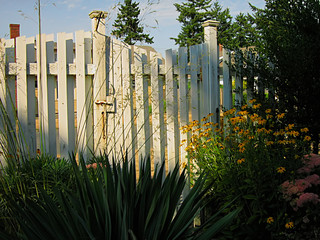 Garden Fence