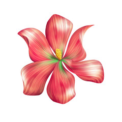 Naklejka premium abstract red flower illustration isolated on white