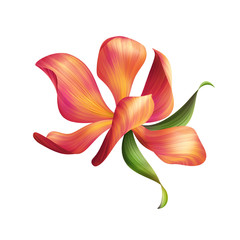 Fototapeta premium abstract delicate flower illustration isolated on white