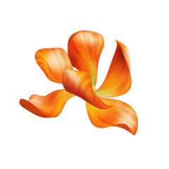 Naklejka premium abstract delicate orange flower illustration isolated