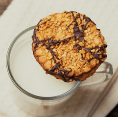 fresh healthy milk and cookies