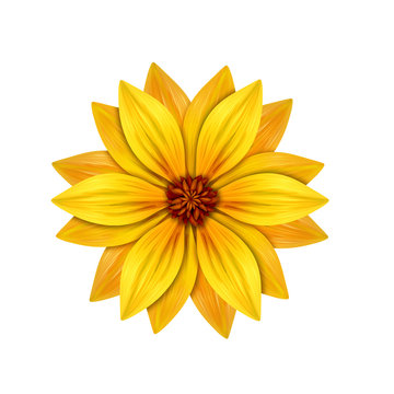 abstract yellow flower illustration isolated on white