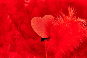 Valentines Day. Hearts Couple on feathers. Love concept