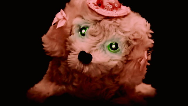 Toy from hell dog catching you slow