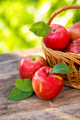 Organic apples in basket in summer grass. Fresh apples in nature