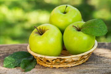 Organic apples in basket in summer grass. Fresh apples in nature