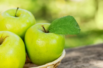 Organic apples in basket in summer grass. Fresh apples in nature