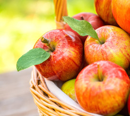 Organic apples in basket in summer grass. Fresh apples in nature
