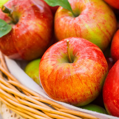 Organic apples in basket in summer grass. Fresh apples in nature