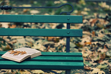 Open book with leaf lying on the bench in autumn park