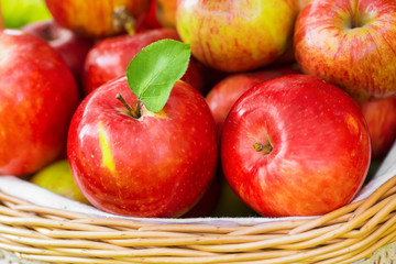 Organic apples in basket in summer grass. Fresh apples in nature