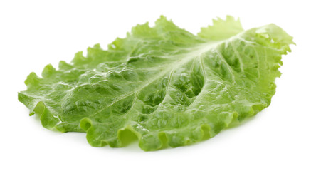 Green lettuce isolated on white