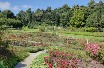 jardin en normandie