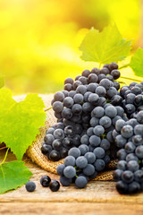 Grapes on a old wooden table on nature background